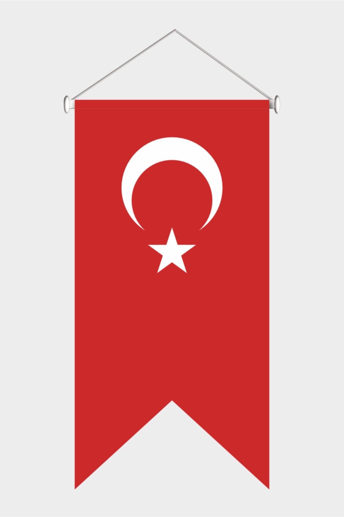Flama Bayrağı 2