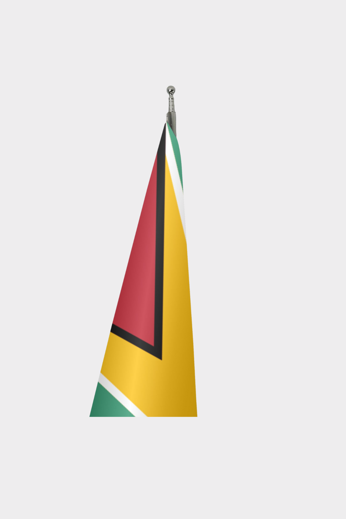 Guyana Makam Bayrağı Seti detay görünümü
