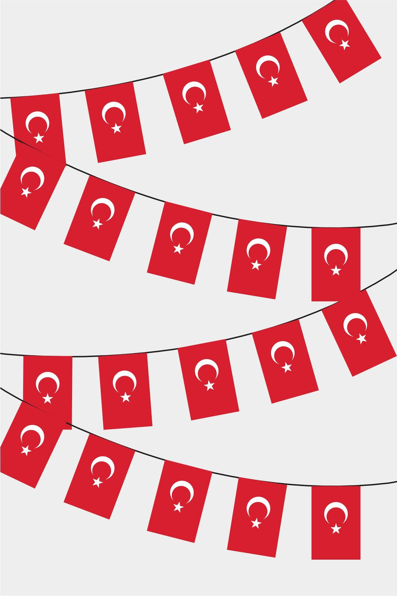 Türkiye Dikdörtgen Süsleme Bayrak