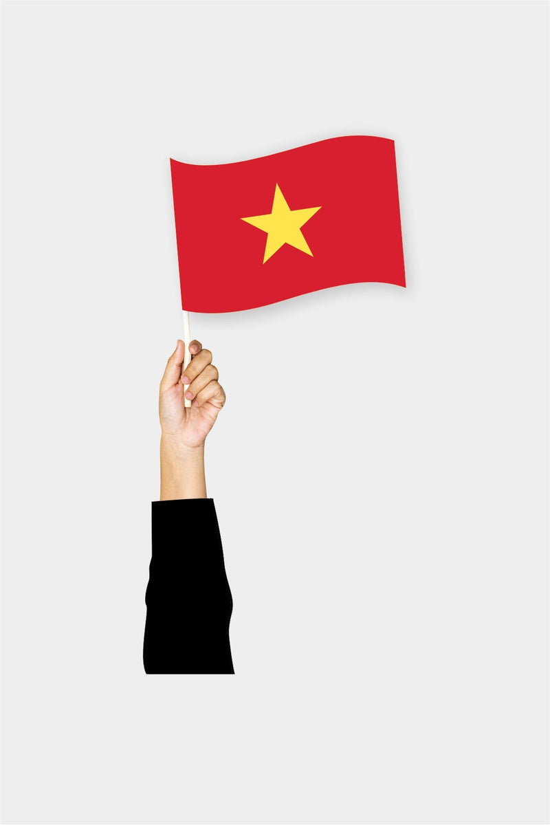 Vietnam El Bayrağı