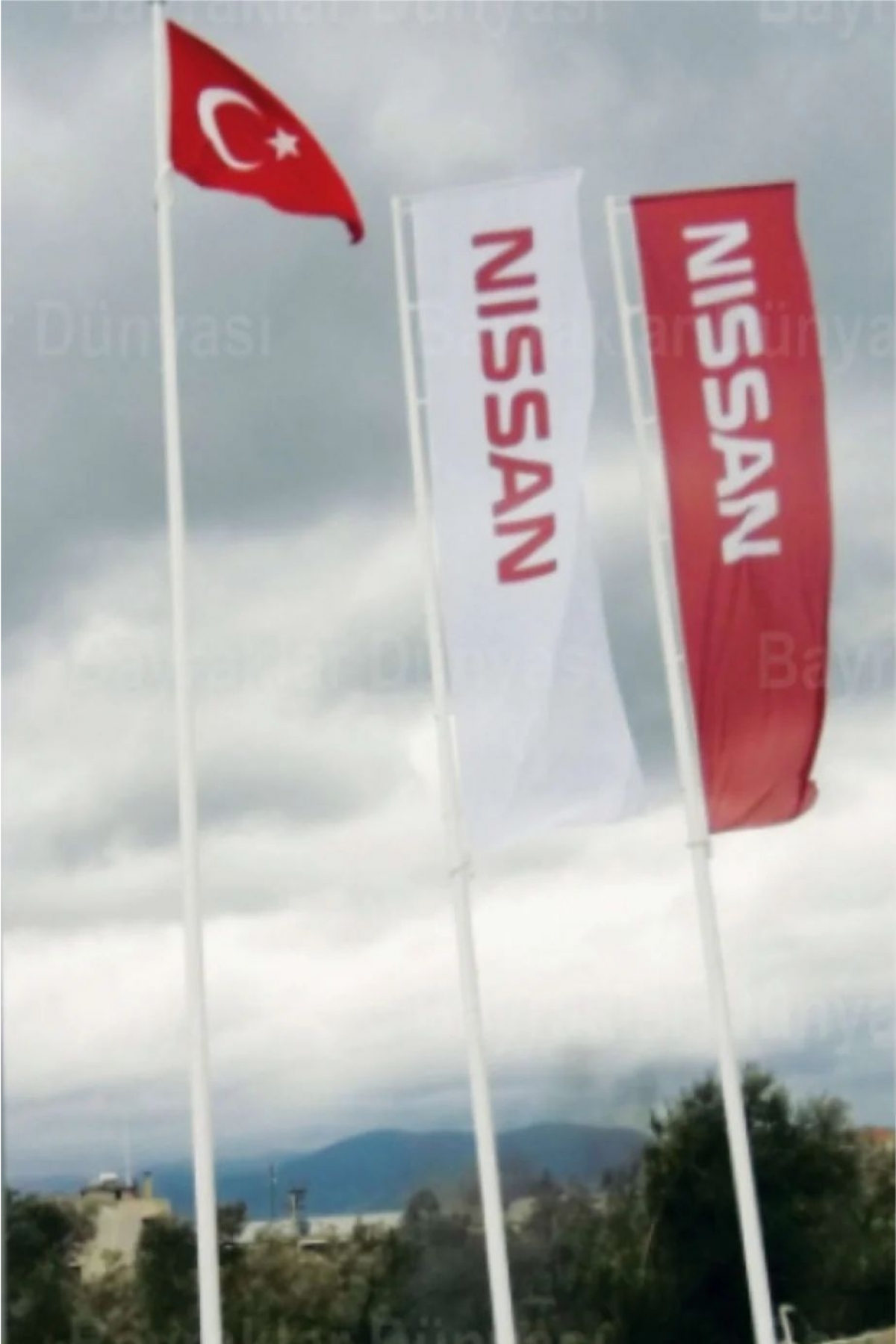 Dikey Gönder Bayrağı 75x300cm