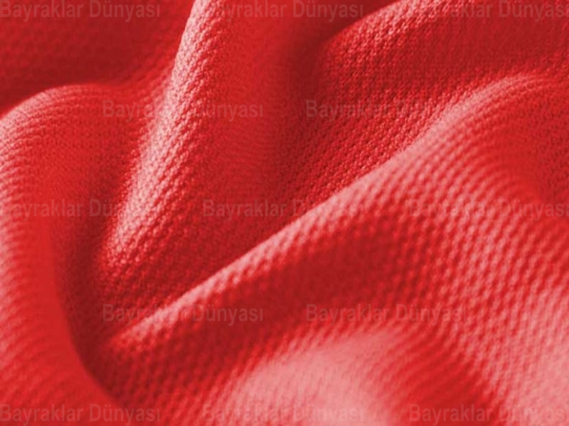 Doğu Türkistan Bayrağı 70x105cm