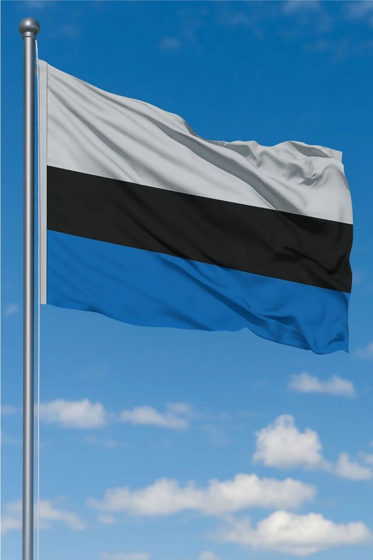 50x75 Estonya Gönder Bayrağı