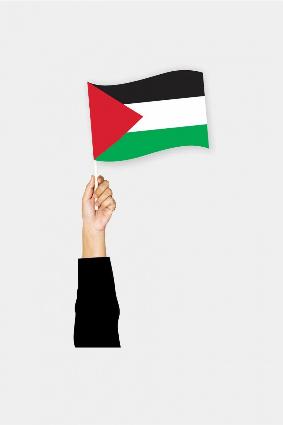 5'lİ 50x75 Filistin Elde Sallama Bayrak