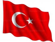 Türk Bayrak 30x45 cm Alpaka Kumaş