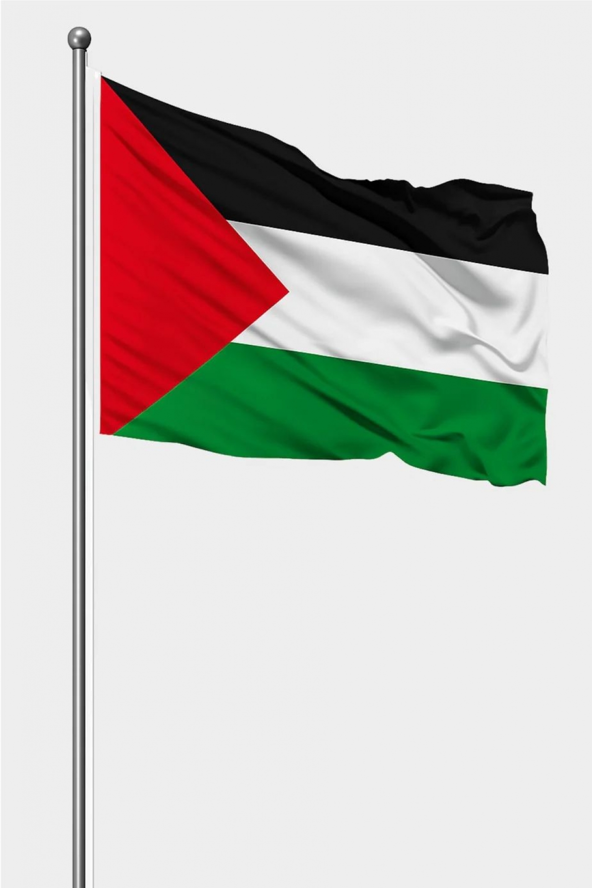 Filistin Bayrak 70x105cm 