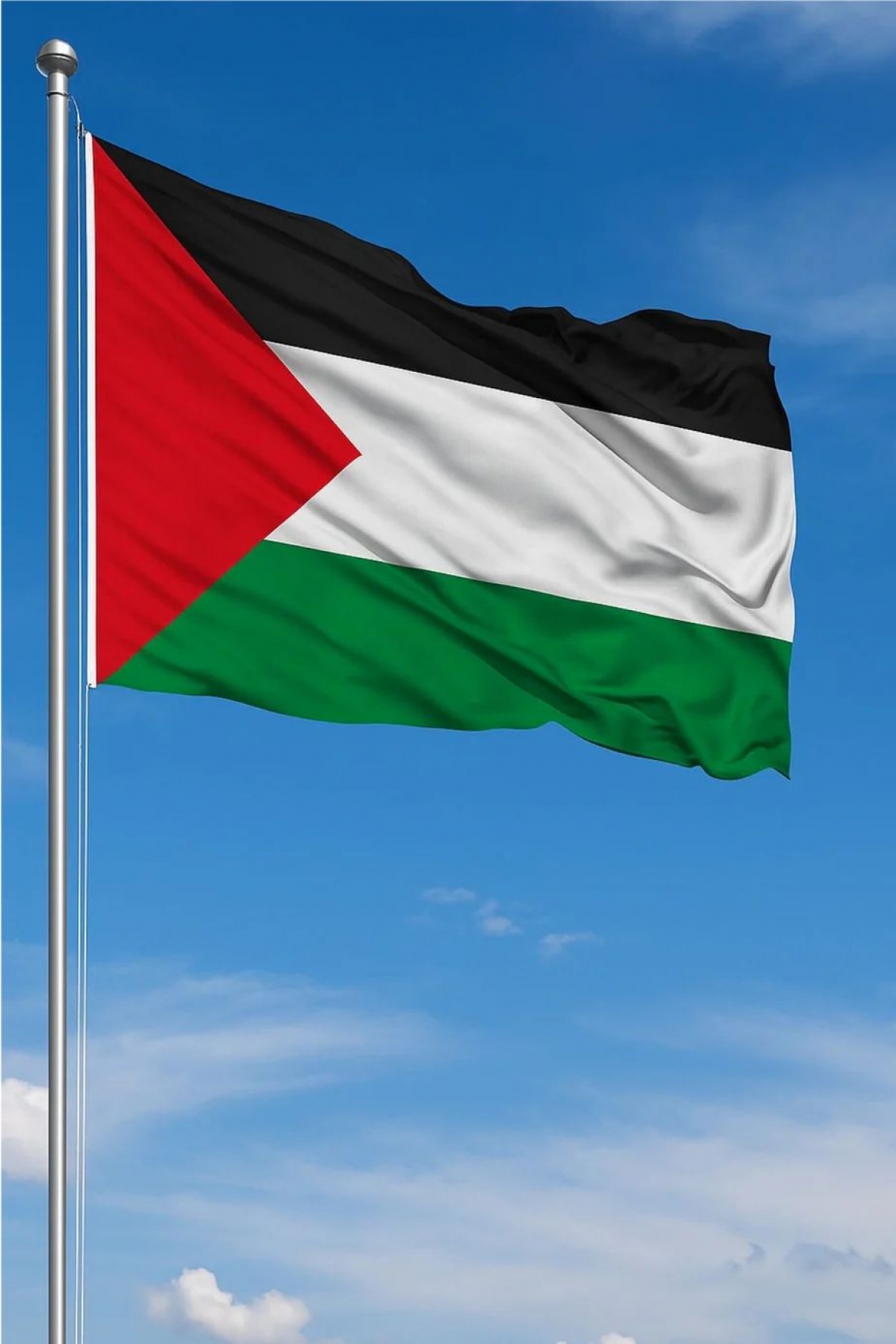 Filistin Bayrak 150x225cm 