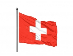 İsviçre Bayrak 80x120cm 