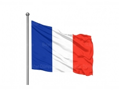 Fransa Bayrak 100x150cm 