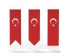Türk Kırlangıç Bayrağı 100x400cm 