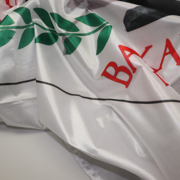 Dikey Gönder Bayrağı 100x300cm