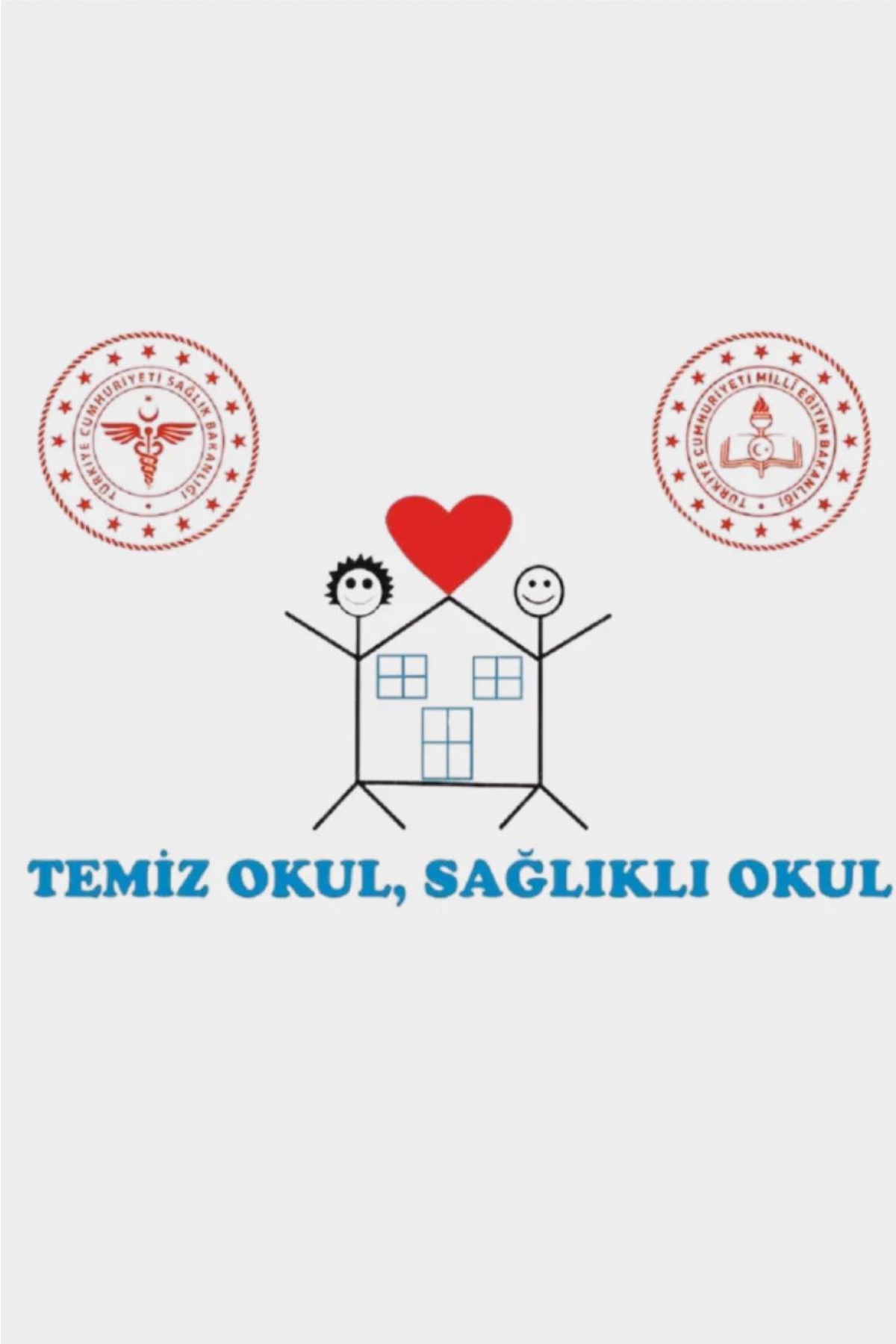 Temiz Okul Sağlıklı Okul Bayrağı 80x120cm 
