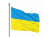 Ukrayna Bayrağı