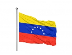 Venezuella Bayrağı