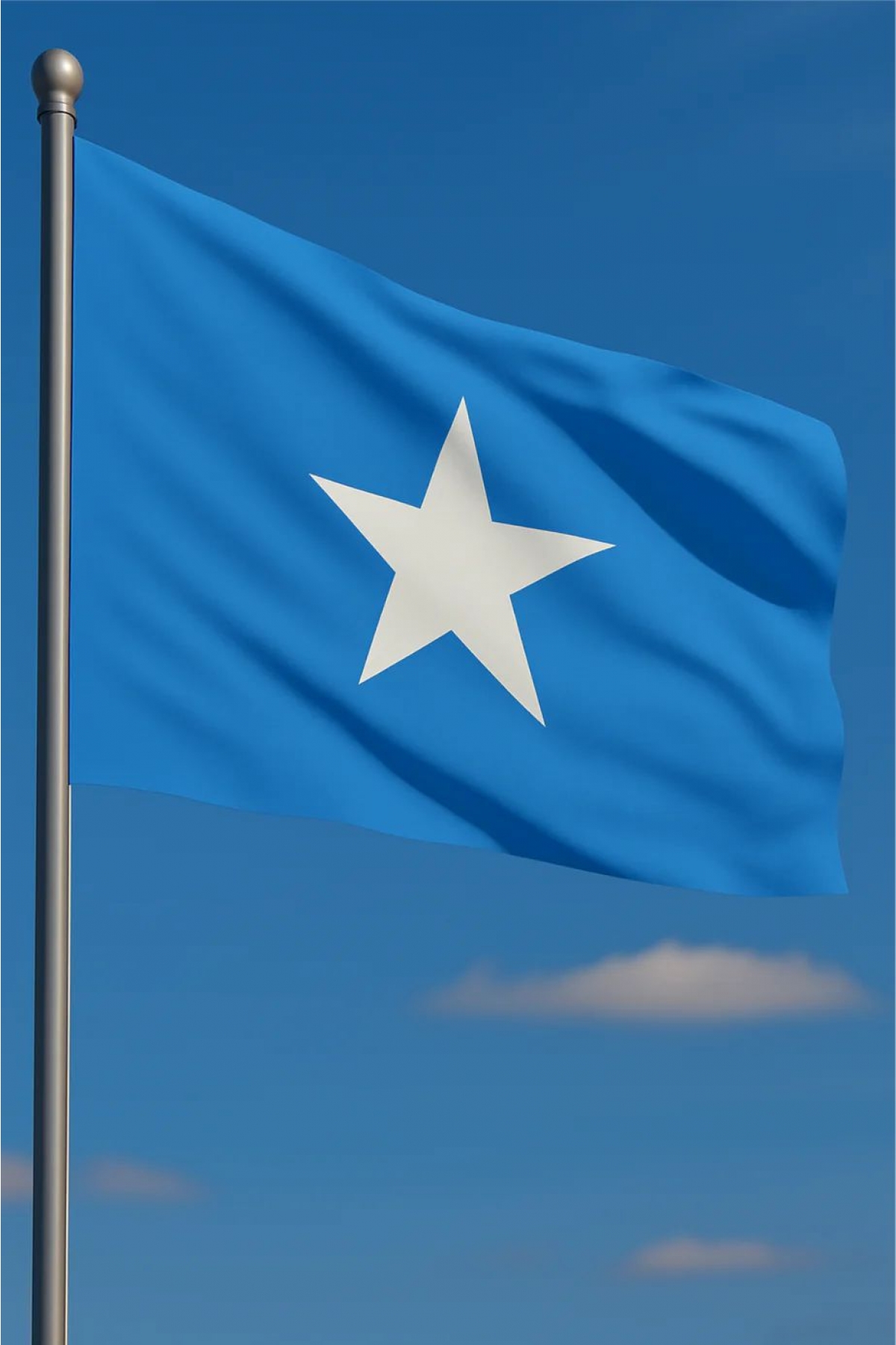 Somali Bayrağı