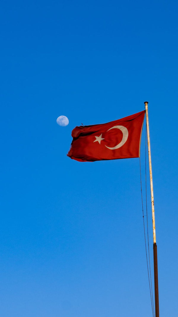 Süsleme ve Dekoratif Flamalar