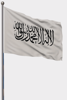 Afganistan Bayrağı