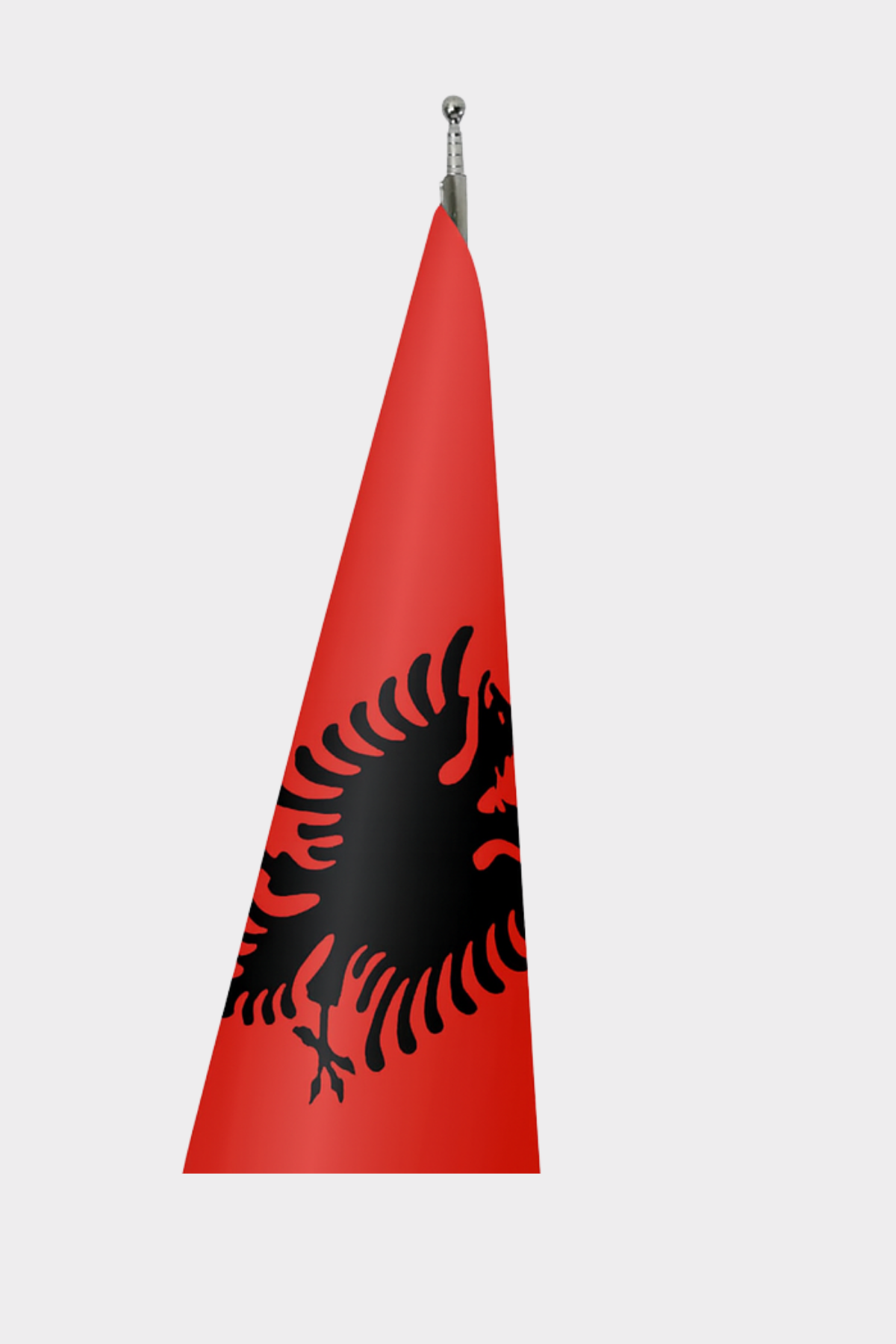 Arnavutluk Makam Bayrağı Seti detay görünümü