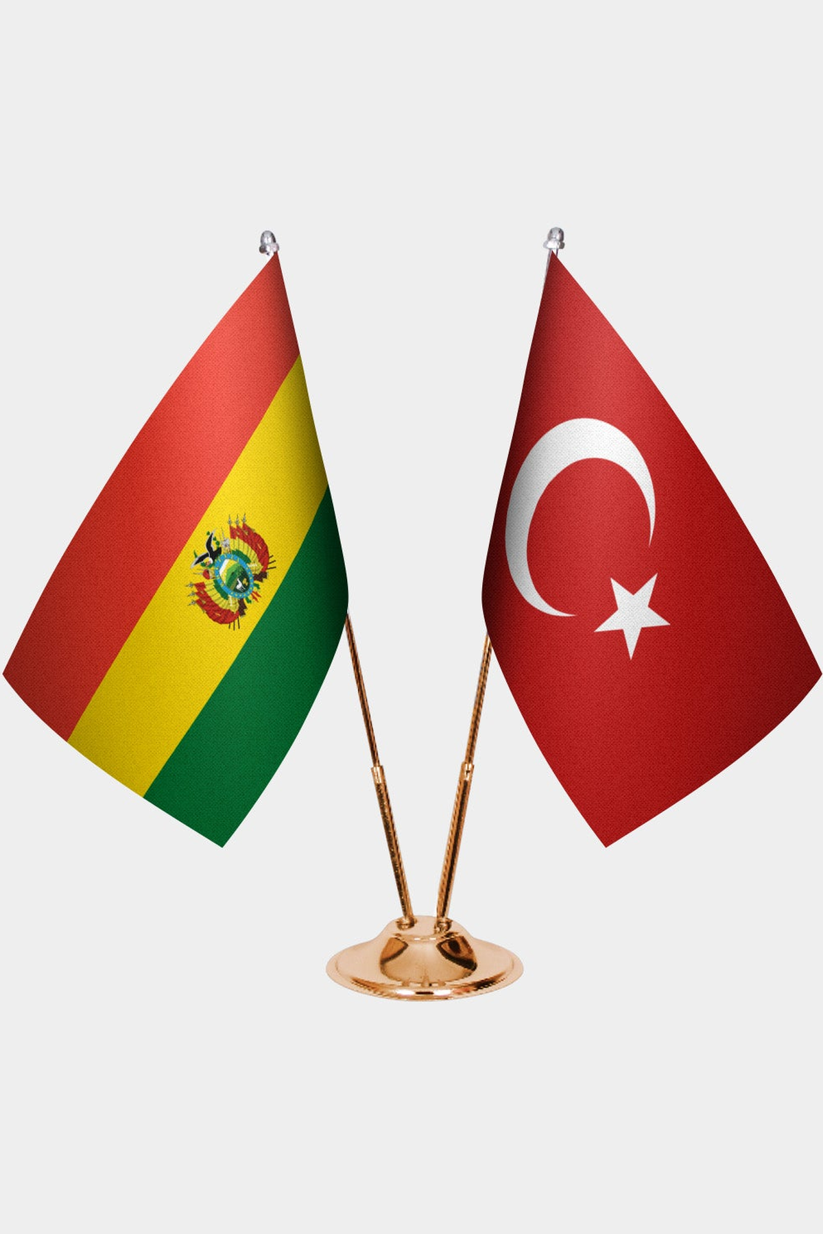 Bolivya ve Türkiye İkili Masa Bayrağı Seti kurulum görünümü