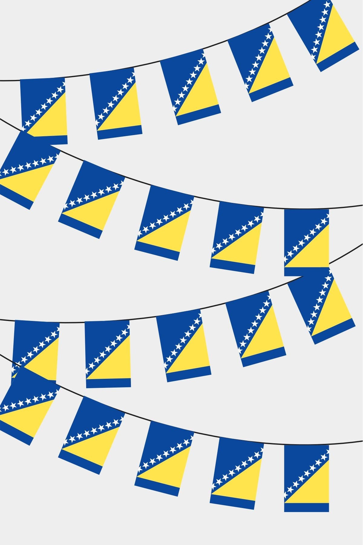 Bosna-Hersek Dikdörtgen Süsleme Bayrak
