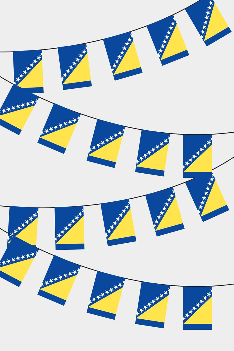 Bosna-Hersek Dikdörtgen Süsleme Bayrak