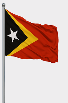 Doğu Timor Bayrağı