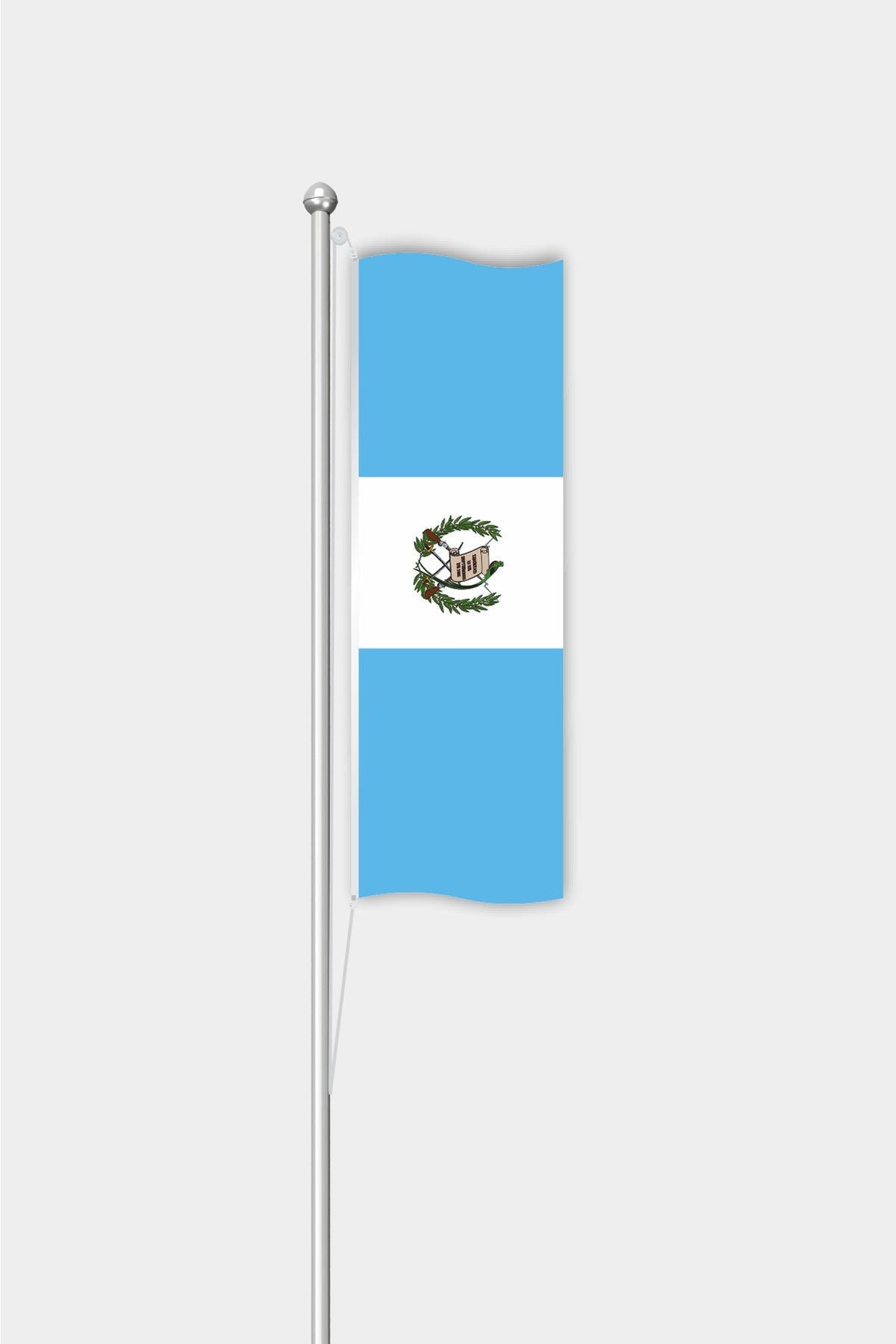 Guatemala Dikey Bayrağı