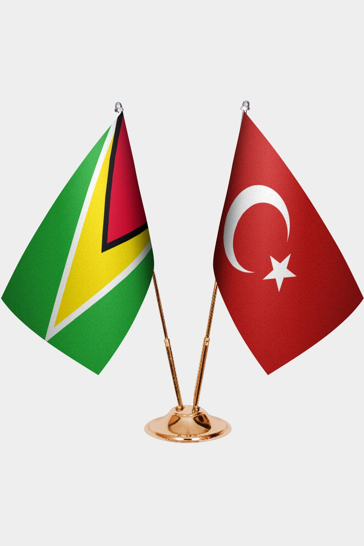 Guyana ve Türkiye İkili Masa Bayrağı Seti kurulum görünümü