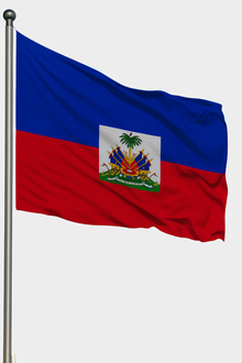 Haiti Bayrağı