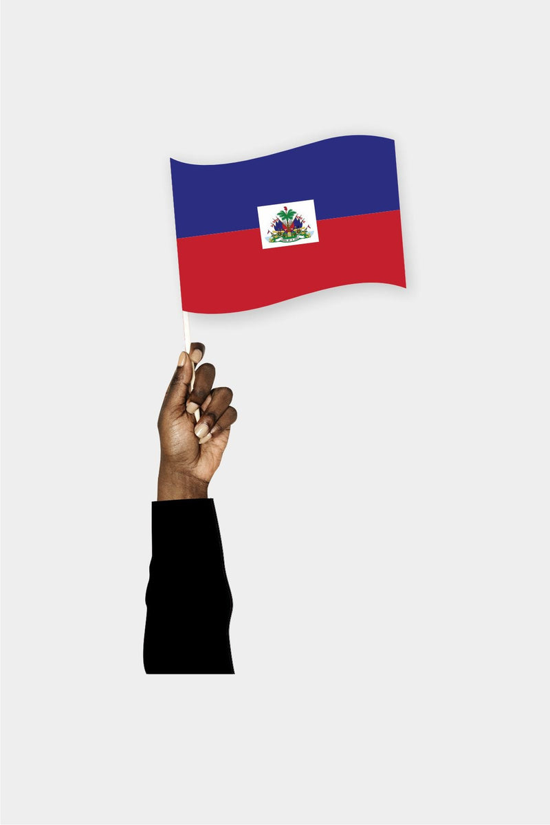 Haiti El Bayrağı