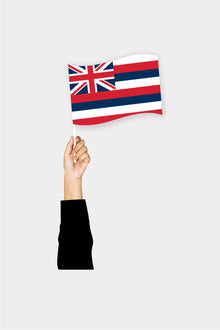 Hawaii El Bayrağı