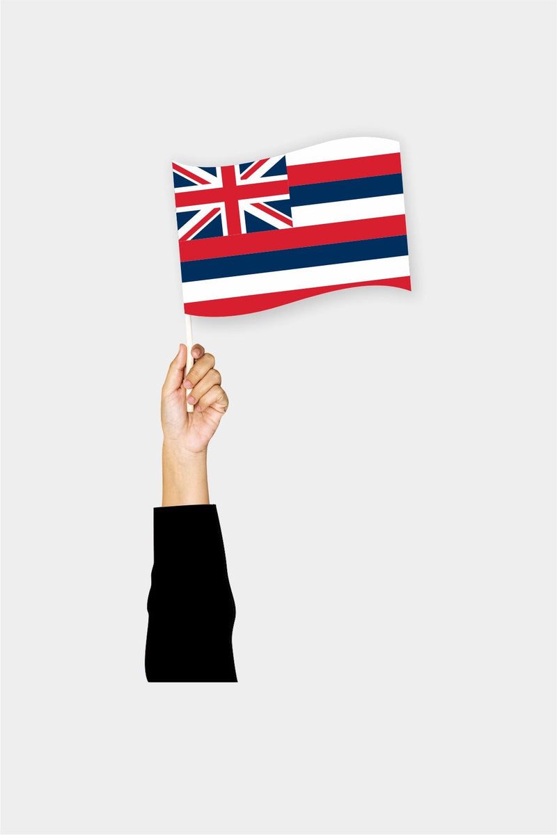 Hawaii El Bayrağı