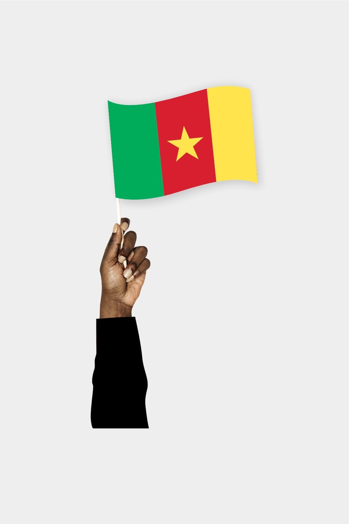 Kamerun El Bayrağı