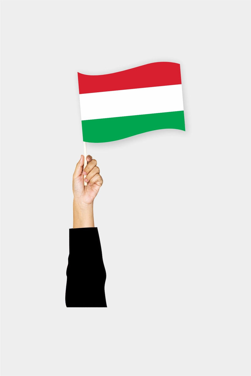 Macaristan El Bayrağı