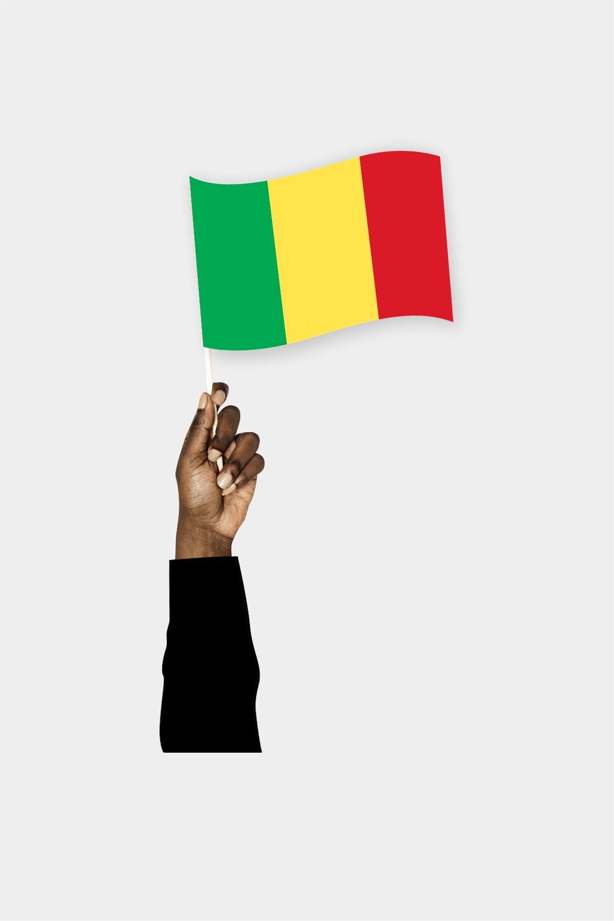 Mali El Bayrağı