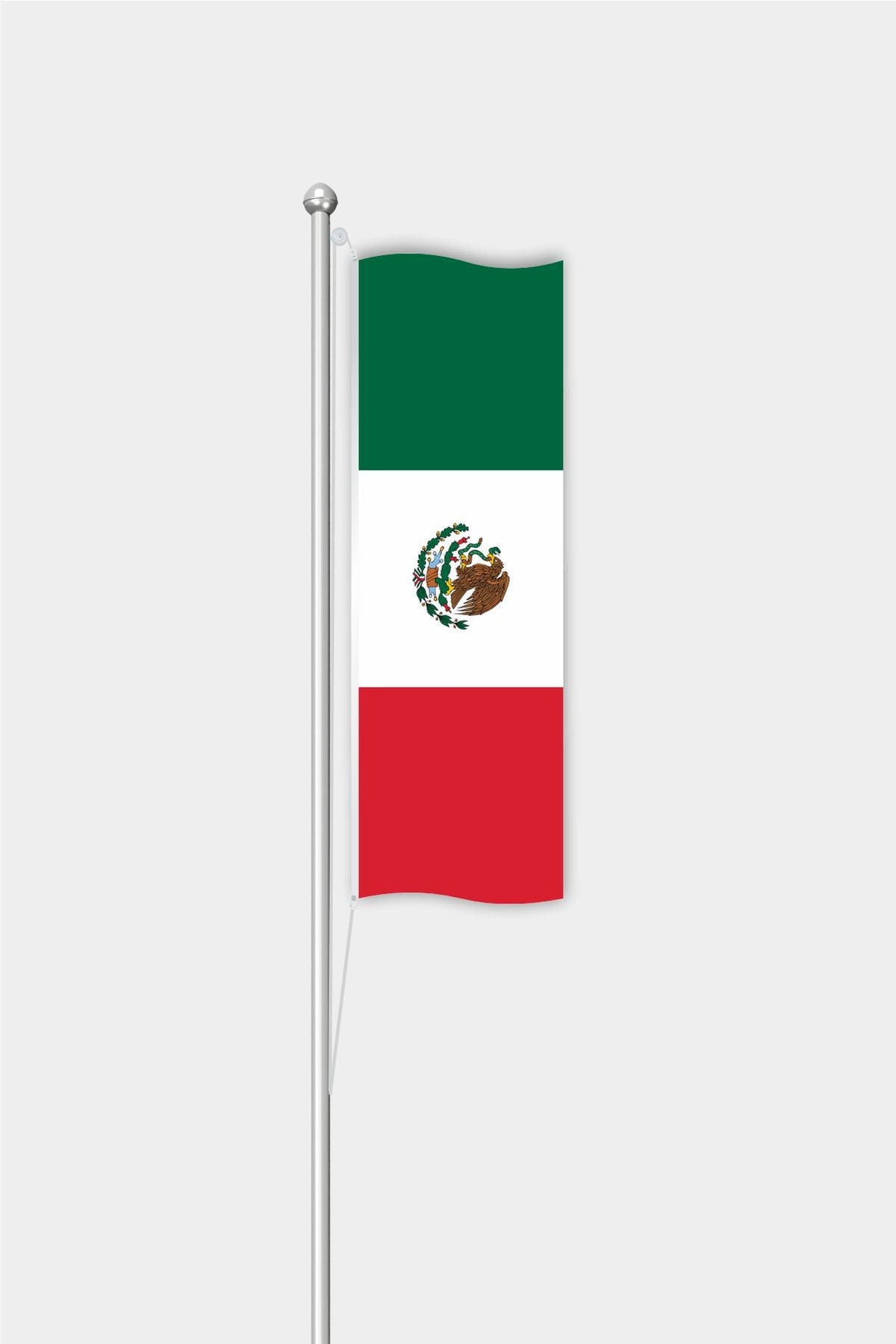 Meksika Dikey Bayrağı