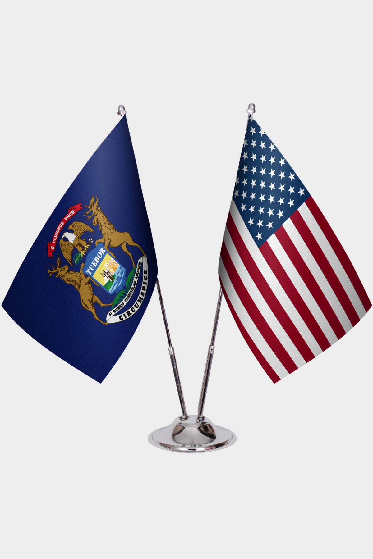 Michigan ve ABD İkili Masa Bayrağı Seti