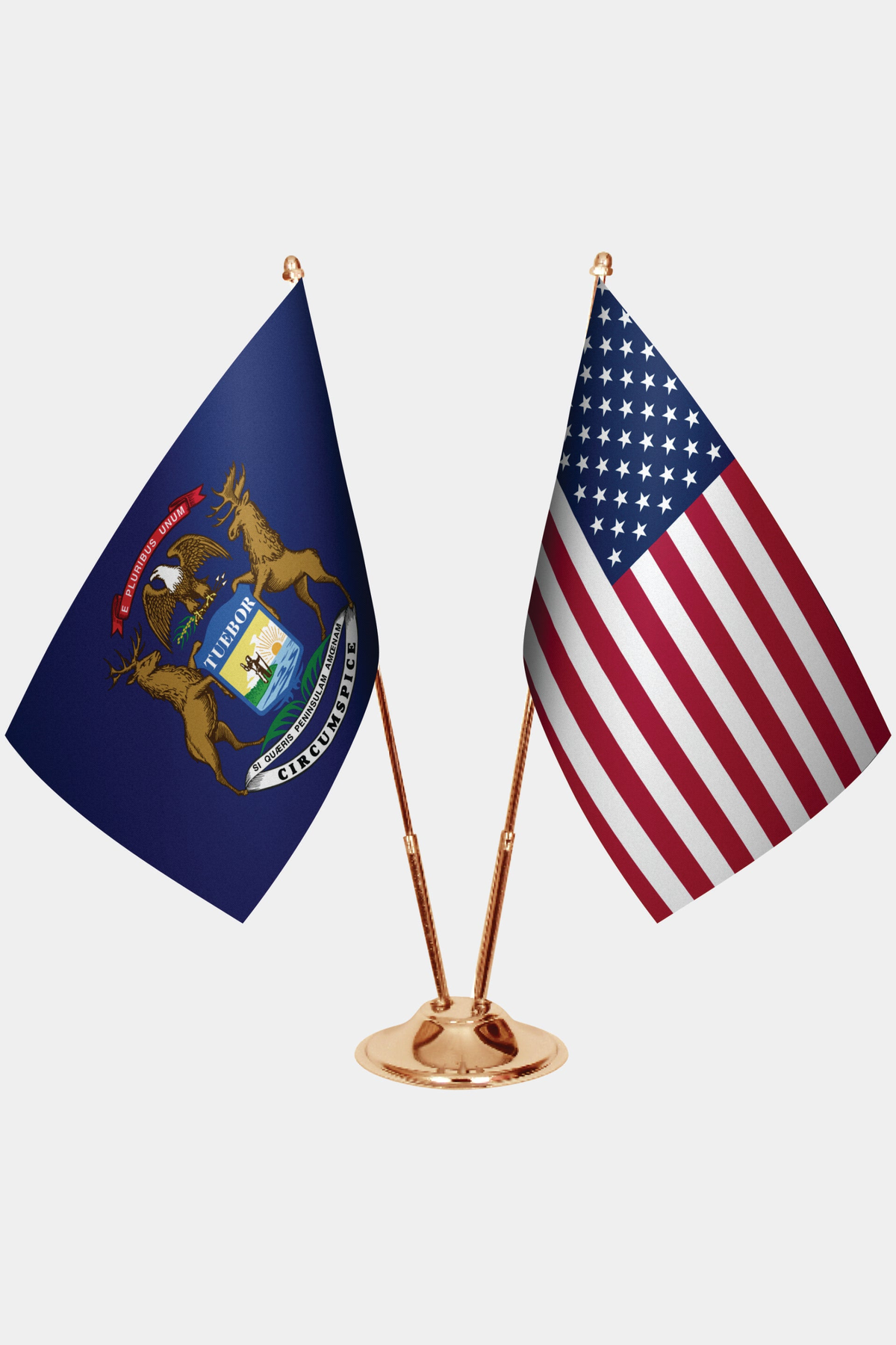 Michigan ve ABD İkili Masa Bayrağı Seti yakın çekim