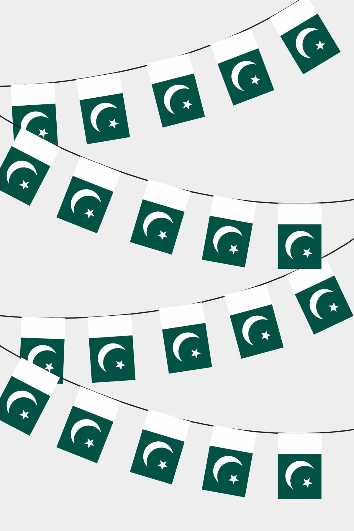 Pakistan Dikdörtgen Süsleme Bayrak