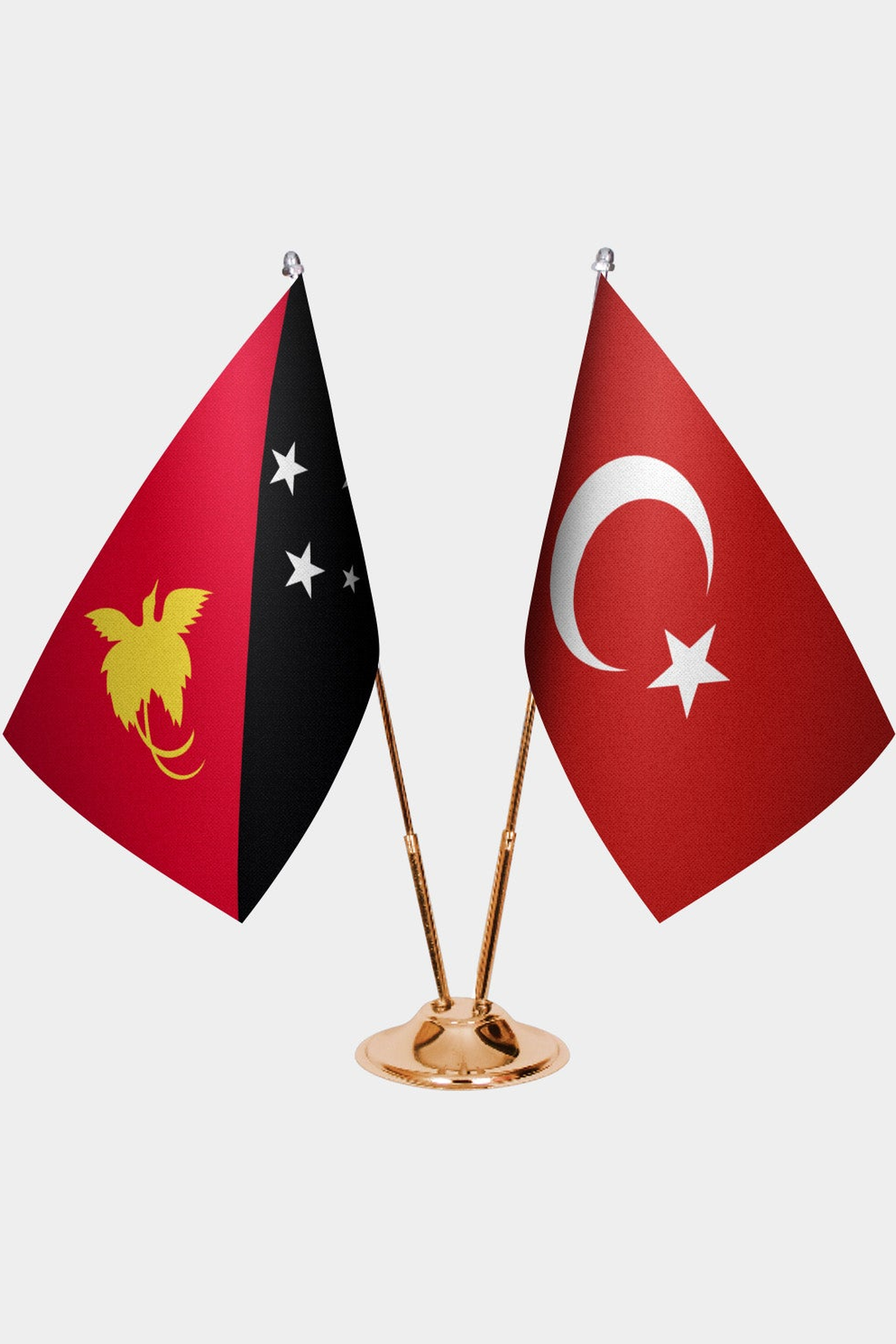 Papua Yeni Gine ve Türkiye İkili Masa Bayrağı Seti kurulum görünümü