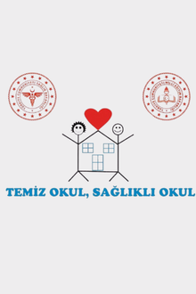 Saten Kumaş Okul Bayrağı