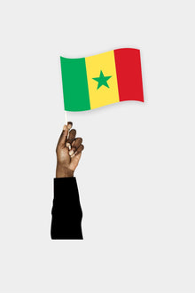Senegal El Bayrağı