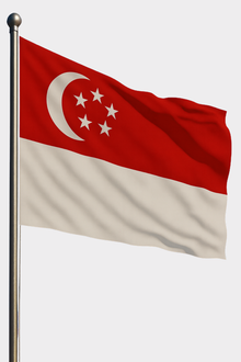 Singapur Bayrağı
