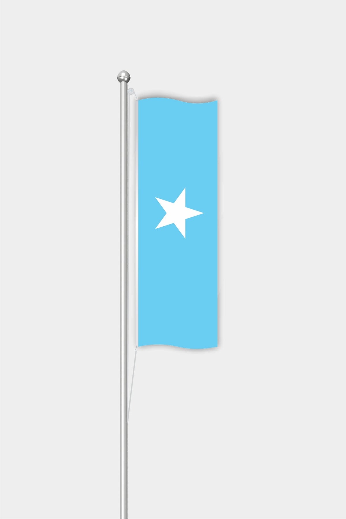 Somali Dikey Bayrağı