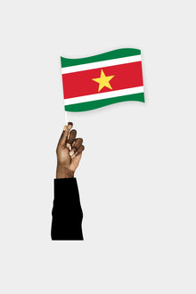 Surinam El Bayrağı