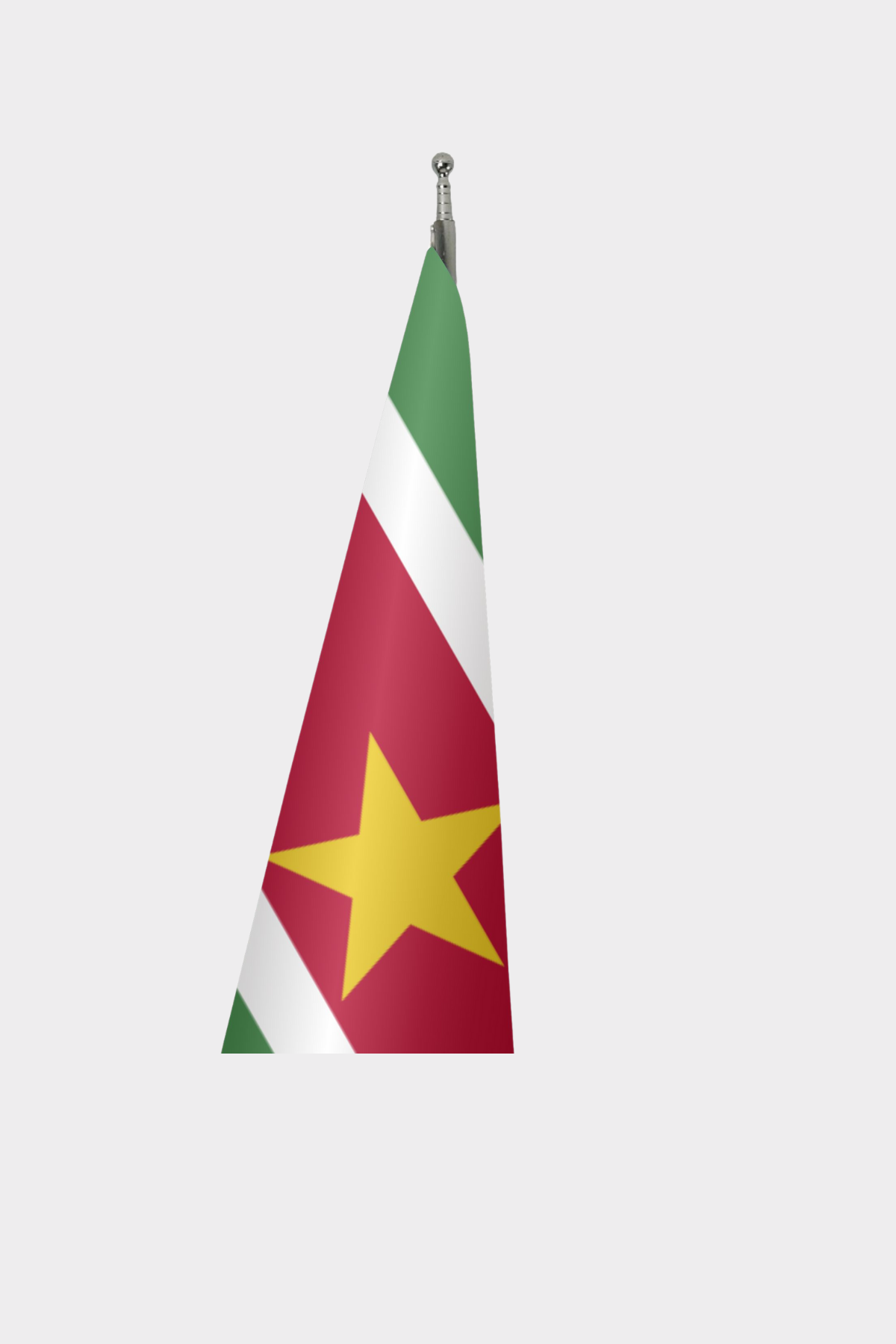 Surinam Makam Bayrağı Seti detay görünümü