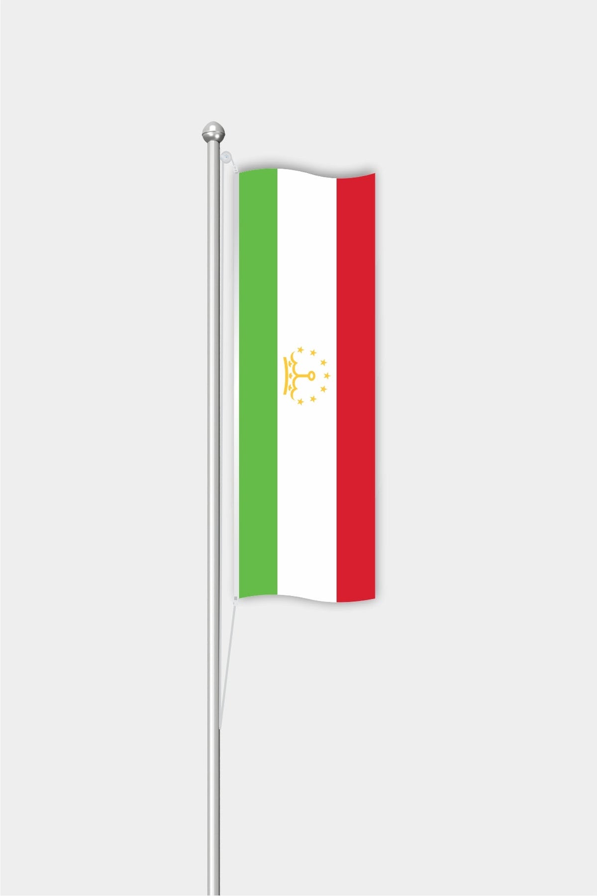 Tacikistan Dikey Bayrağı