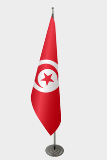 Tunus Makam Bayrağı Seti