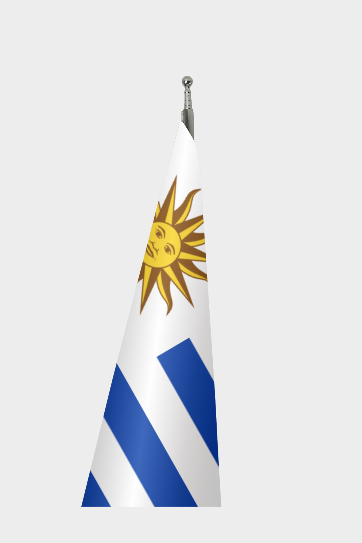 Uruguay Makam Bayrağı Seti detay görünümü