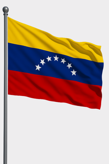 Venezuela Bayrağı